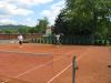 Den v Martinic�ch