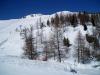 Lyovn v Itlii (San Martino di Castroza-Passo Rolle)